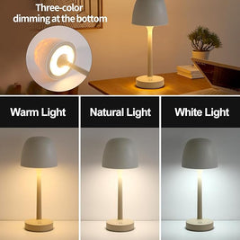 Atmosphere Desk Lamp