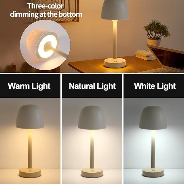 Atmosphere Desk Lamp